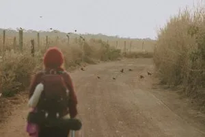 The Parable of the Crows