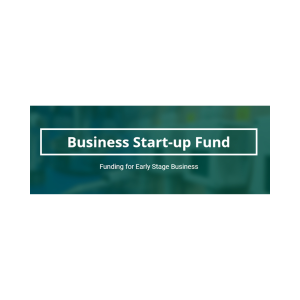 BSF Grant