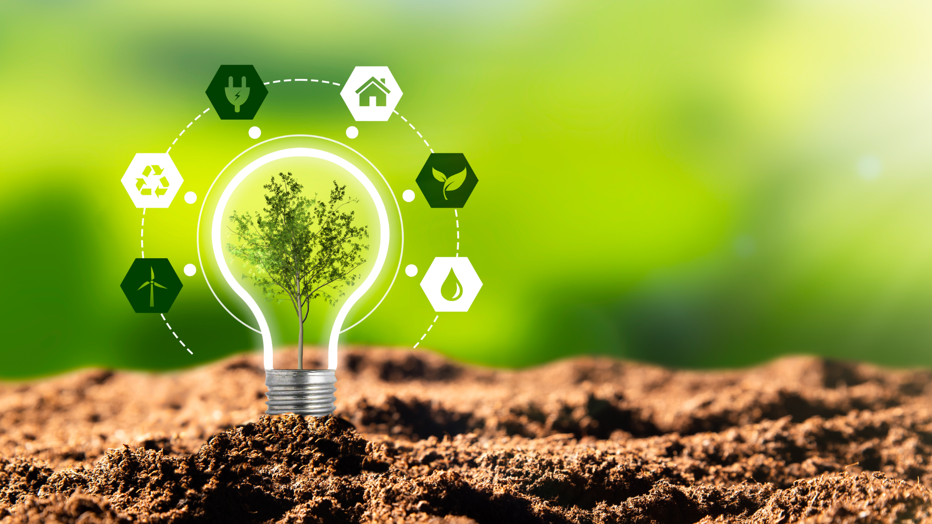 Sustainable technology, co-working hospitality